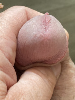 Ferike3