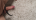 Jack_