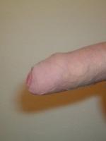VargaT3