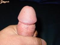 gugu