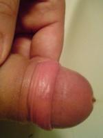 gold04