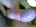 qroo_bp