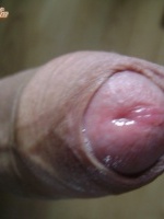 profu
