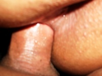Sany 55