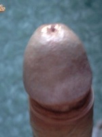 Rudyxxx