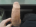 thomas00023