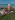 virgin79