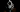 elytra