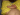 stoky reggie