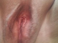 Blotax