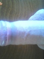 mobydick12