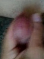 bvb77