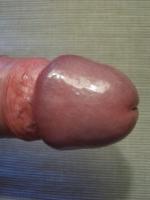 gregor_samsa