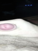 Rideeboy