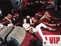 Maszti világnapi party a Villa 69-ben