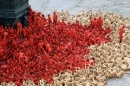 Tunick4